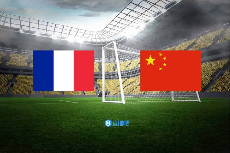中国对法国的比赛回放